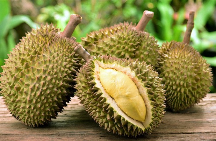 mơ thấy quả sầu riêng đánh con gì