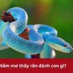 Nằm mơ thấy rắn đánh con gì? Tra ngay số trúng lớn