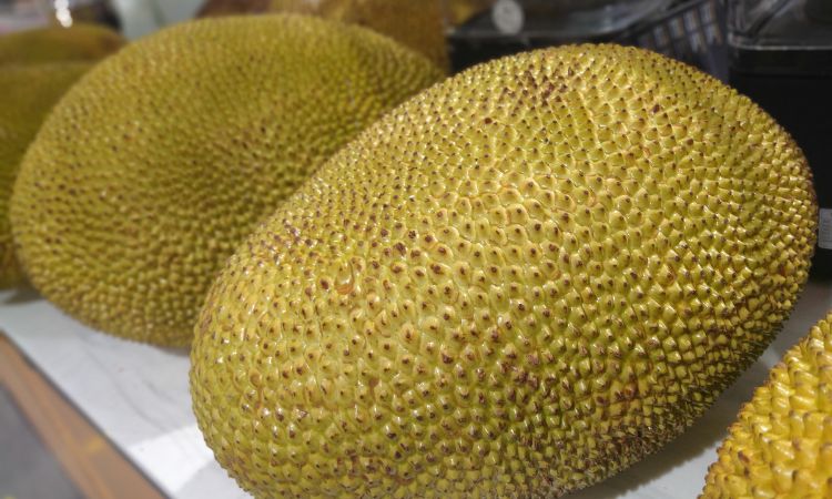 mơ thấy quả mít đánh con gì