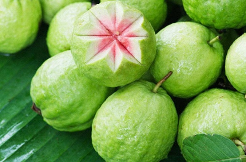 mơ thấy hái ổi đánh con gì