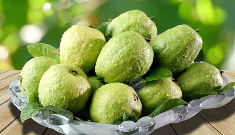 mơ thấy hái ổi đánh con gì